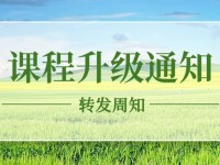 【课程升级】统编语文名师备课指导/名师课例集，教师备课、上课的好助手！