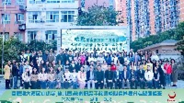 启思践行 研修致远——凤岗镇参加粤港澳大湾区中小学(幼儿园)教科研骨干教师核心素养提升专题培训纪实 启思践行 研修致远——凤岗镇参加粤港澳大湾区中小学(幼儿园)教科研骨干教师核心素养提升专题培训纪实
